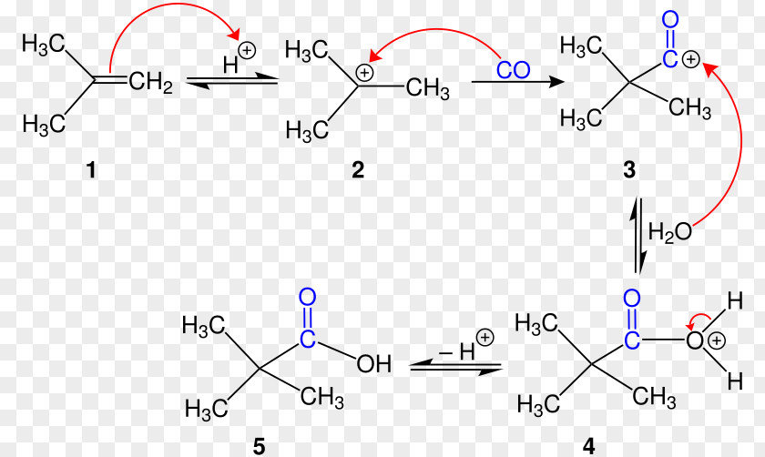 Koch Reaction Organic Chemistry Alkene PNG