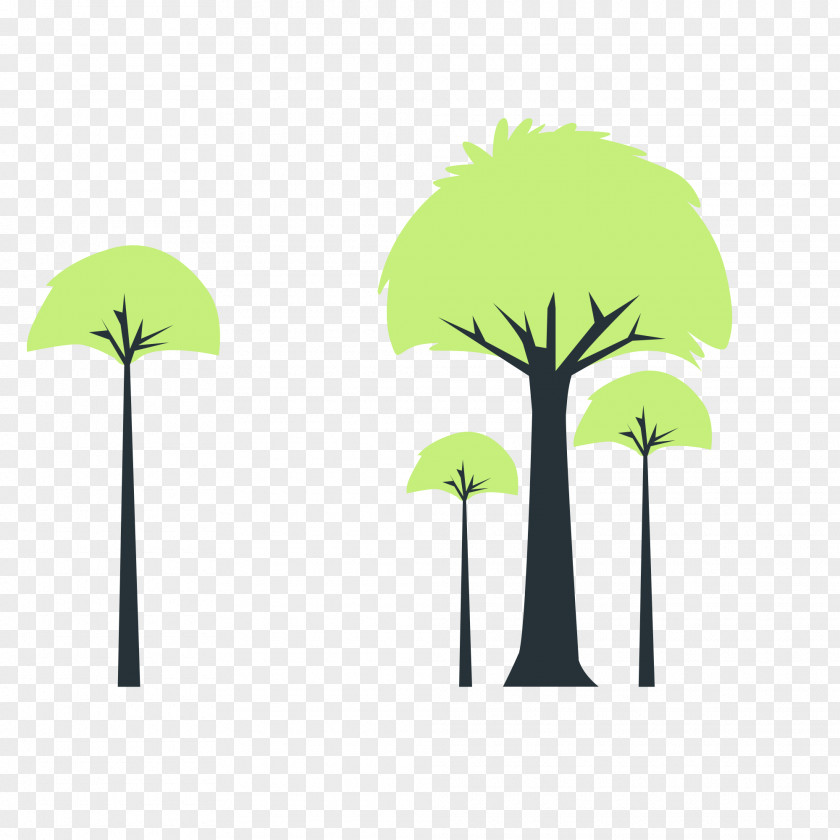 Leaf Plant Stem Tree Green Cartoon PNG