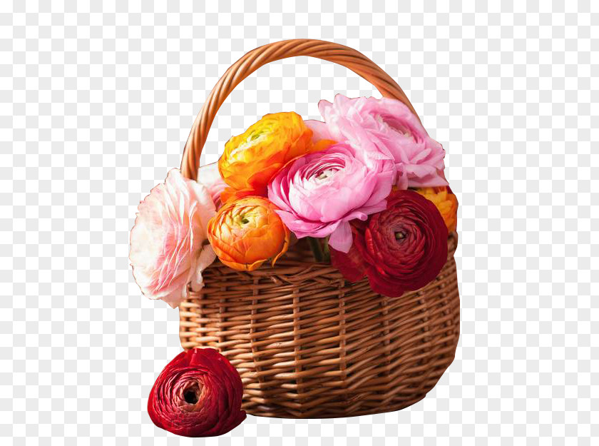 The Color In Peony Basket Flower Bouquet Wreath PNG