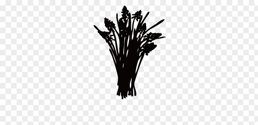 Wheat Silhouette Flower Hyacinth PNG