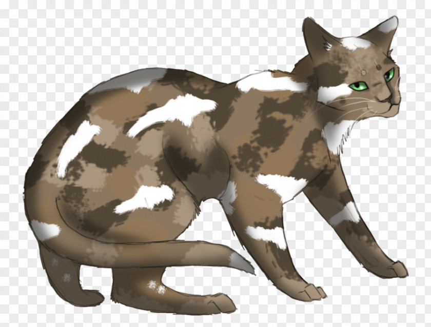 Cat Fading Echoes Night Whispers Warriors Whiskers PNG