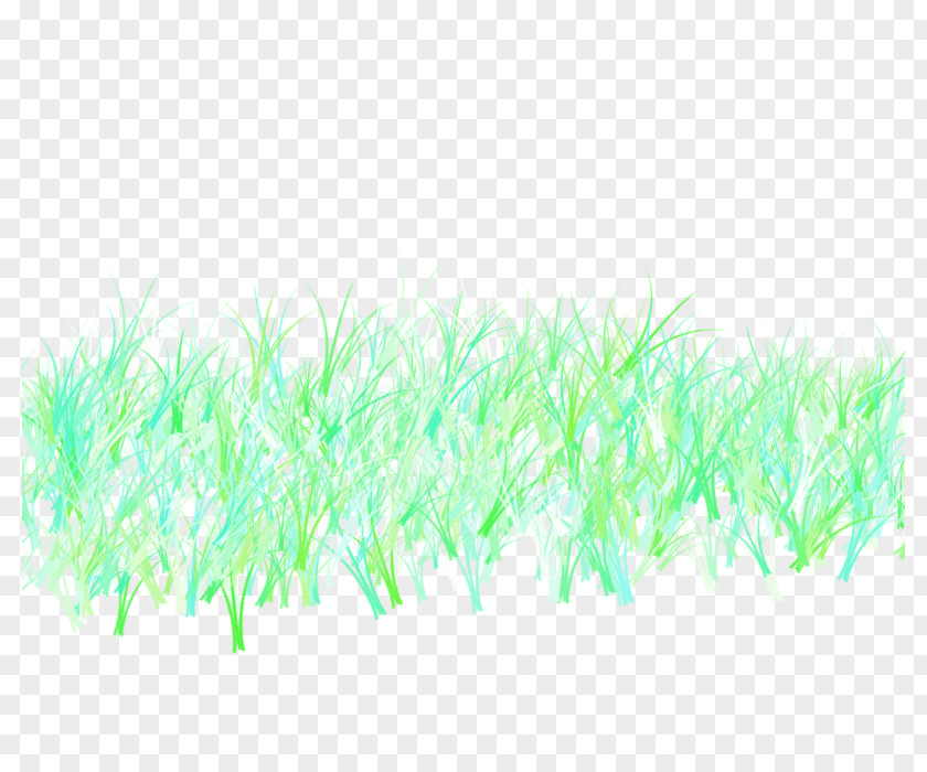 Green Grass Pattern PNG