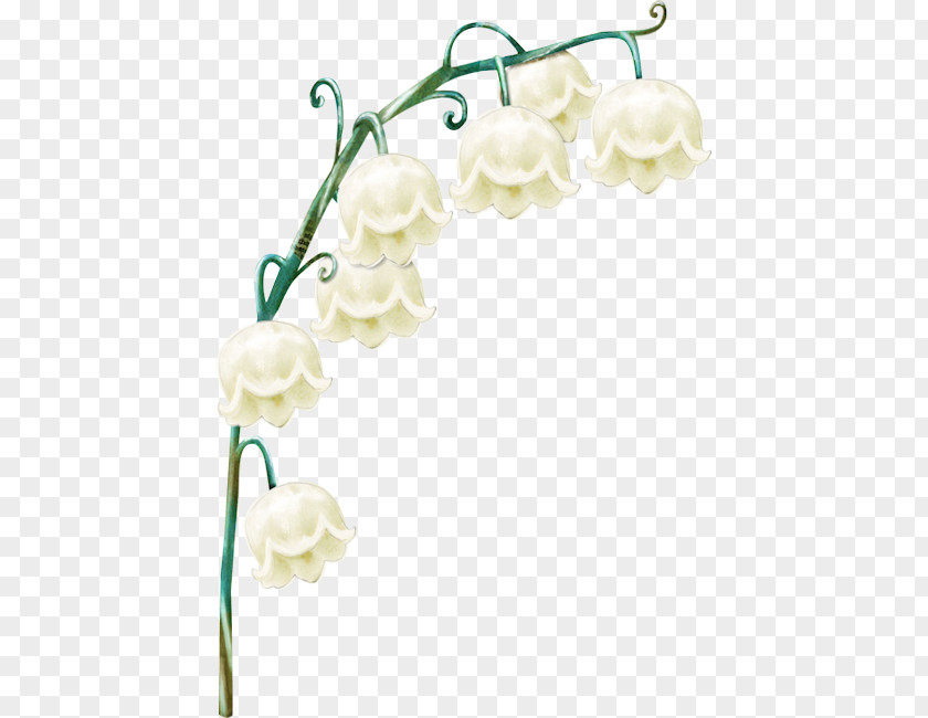 Muguet Lily Of The Valley Flower Clip Art PNG