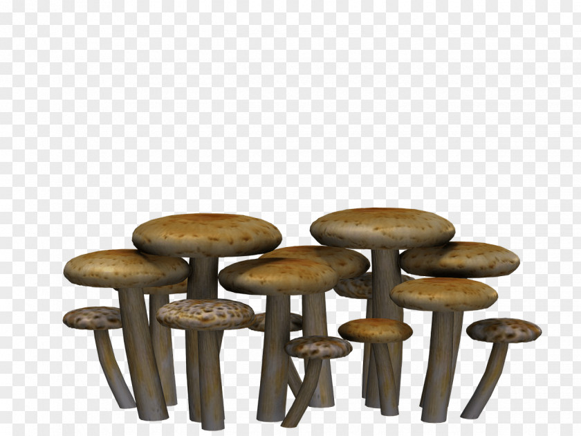 Mushrooms Flat Heads PNG Heads, brown mushrooms illustration clipart PNG