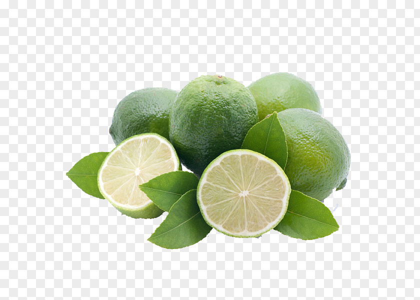 Orange Meyer Lemon Mandarin Fruit PNG