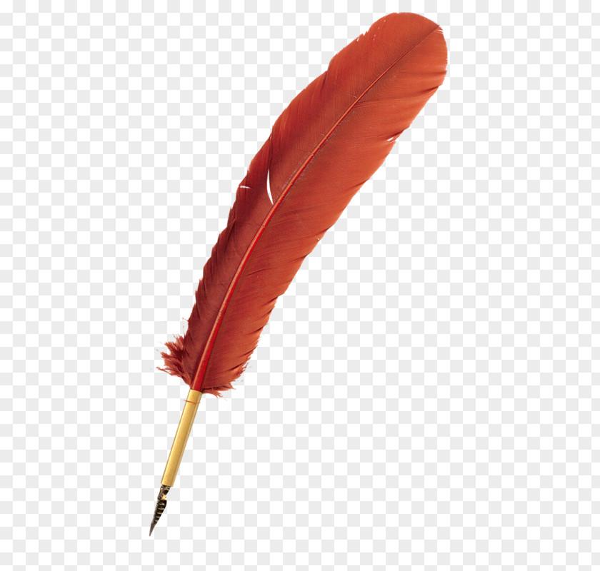 Pen Quill Bird Clip Art PNG
