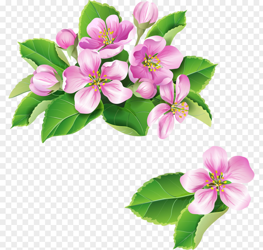 Pink Bouquet Paper Flowers Clip Art PNG