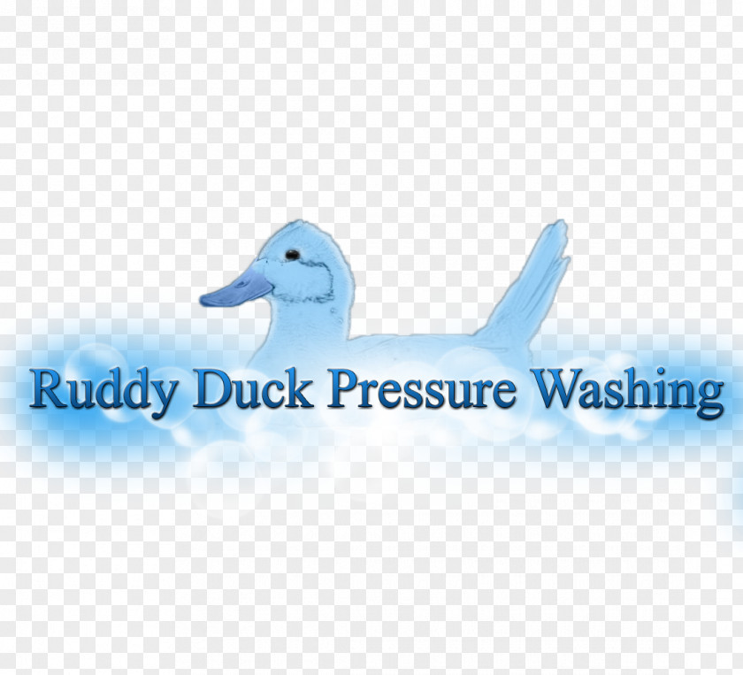 Pressure Washing Business Flyer Logo Brand Font Desktop Wallpaper Product PNG