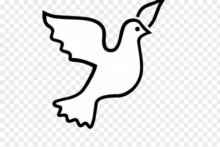 Tshirt Pigeons And Doves As Symbols T-shirt Royalty-free Image PNG