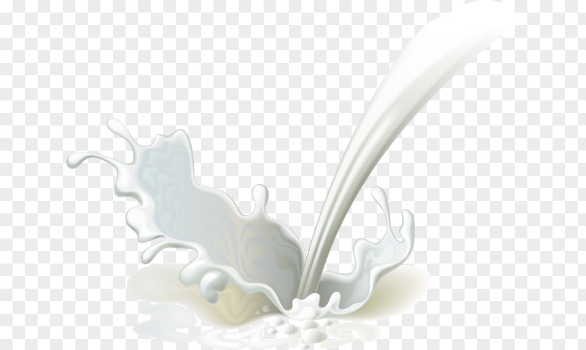 Milk Splash Euclidean Vector Food PNG