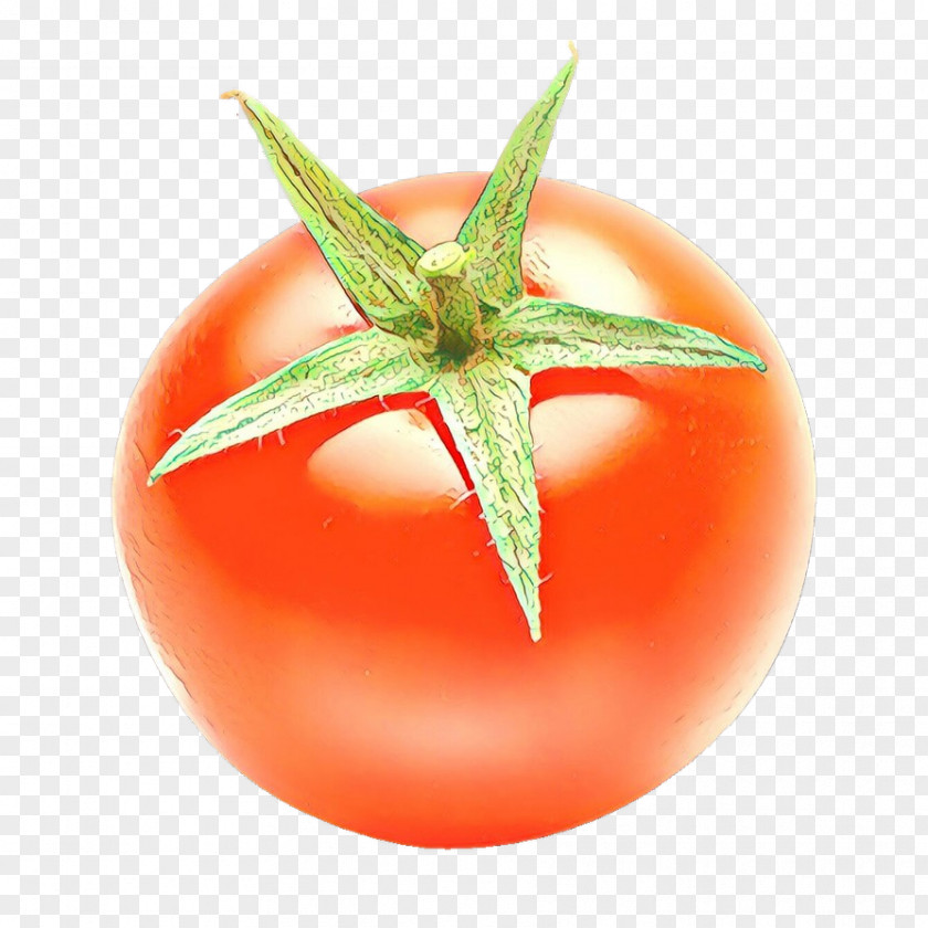 Nightshade Family Vegetable Tomato PNG