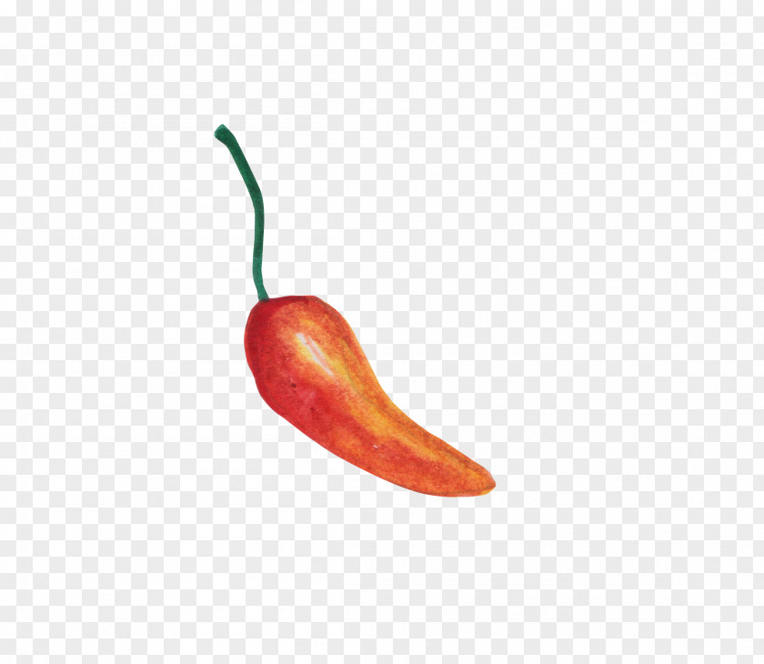 Painted Pepper Tabasco Serrano Cayenne Vegetable PNG