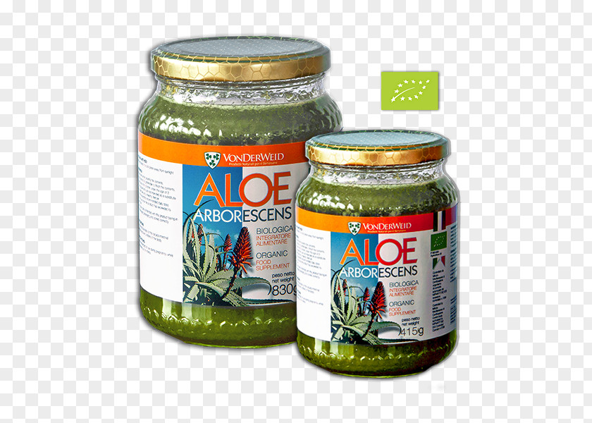 Aleo Vera Candelabra Aloe Condiment Gram PNG