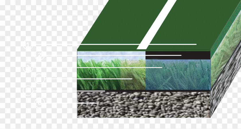 Angle Roof Daylighting Grasses Family PNG