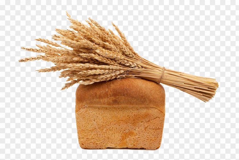 Bread Whole Grain Photography Wheat Clip Art PNG