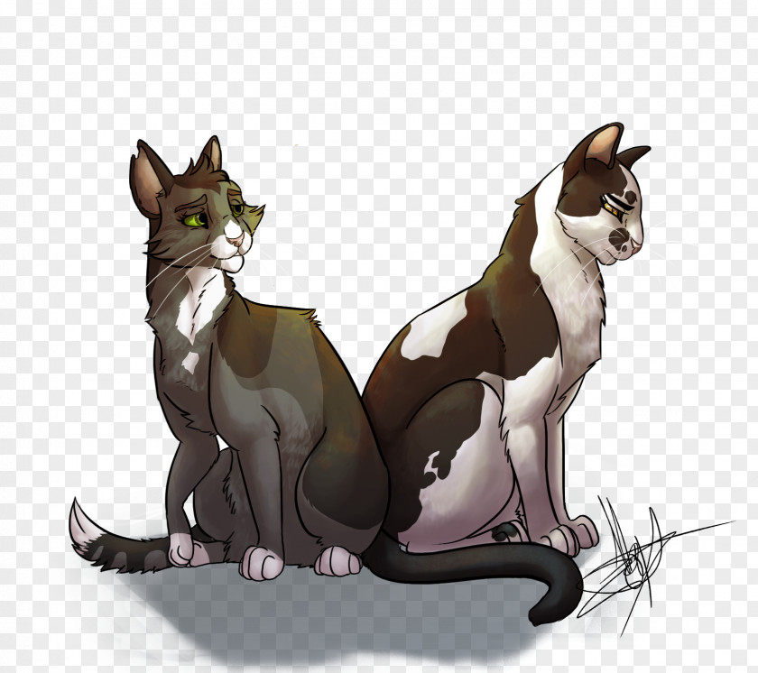 Cat Warriors Erin Hunter Book Jayfeather PNG