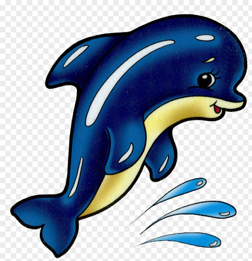 Dolphin Common Bottlenose Clip Art Openclipart Image PNG