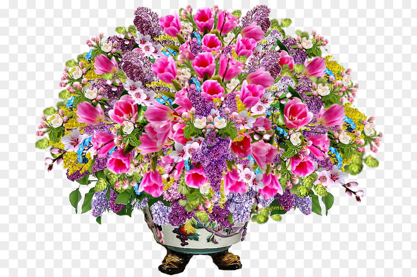 Flower Floral Design Bouquet Cut Flowers Thought PNG