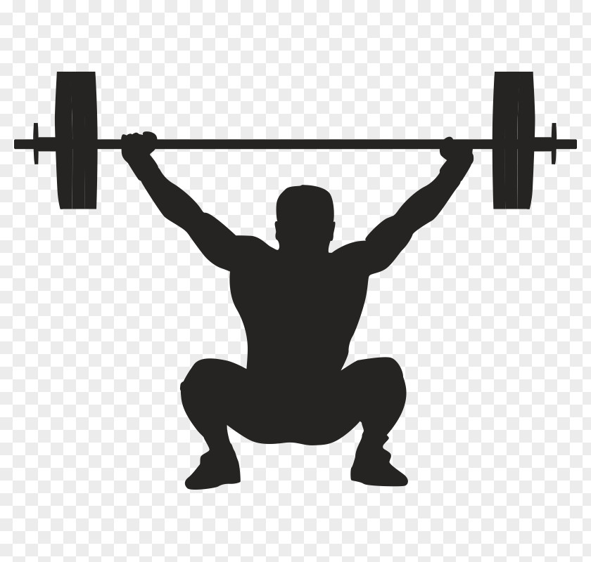 Olympic Weightlifting Weight Training Bench Clip Art PNG