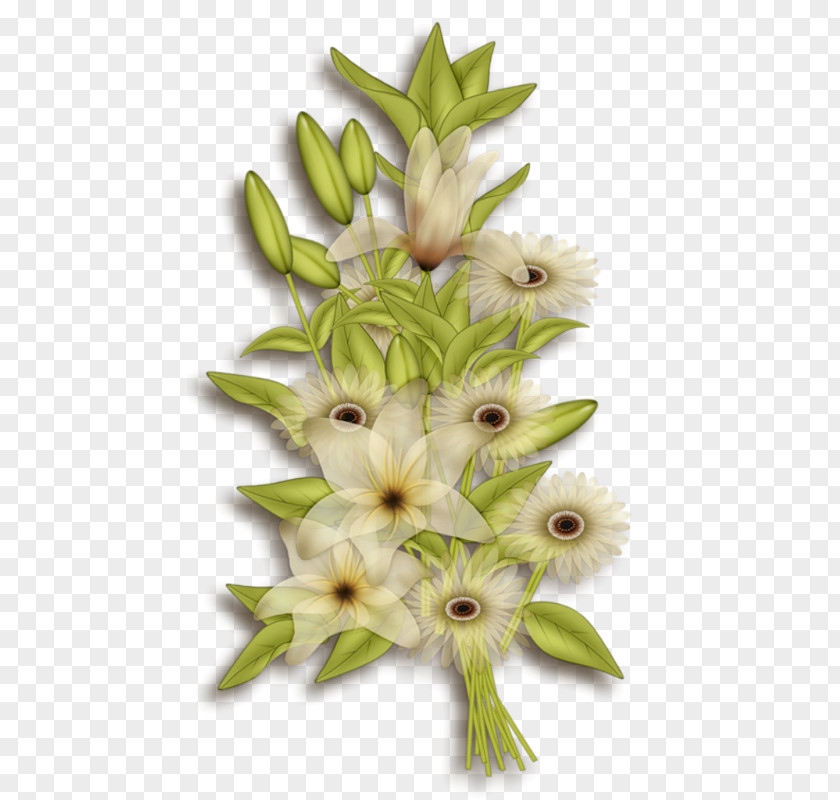 Plant Floral Design Cut Flowers PNG