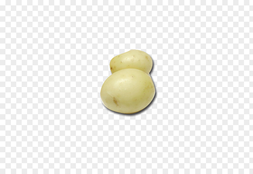 Potato Vegetable PNG