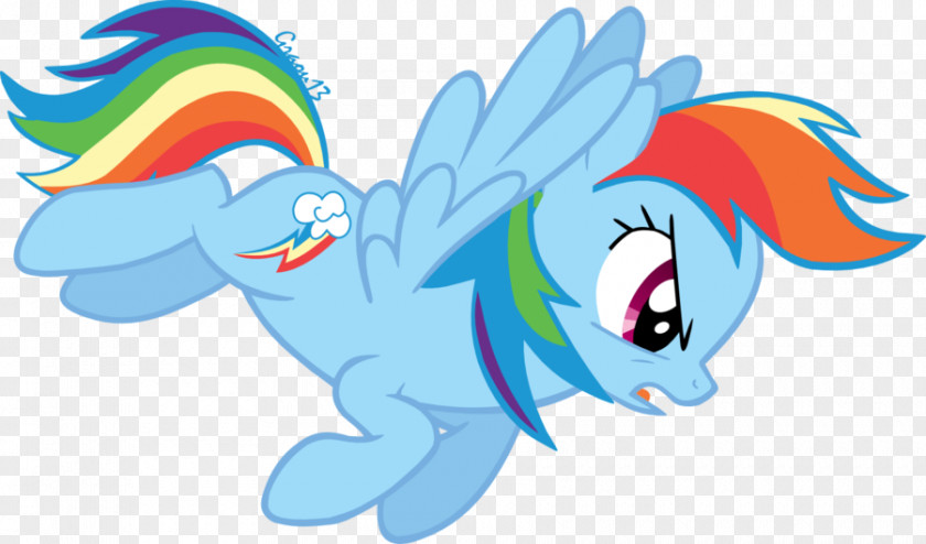 Sushi Vector Rainbow Dash Pony Spike PNG