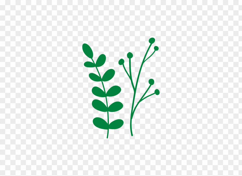 Botanicals Ribbon Logo Brand Font Product Clip Art PNG