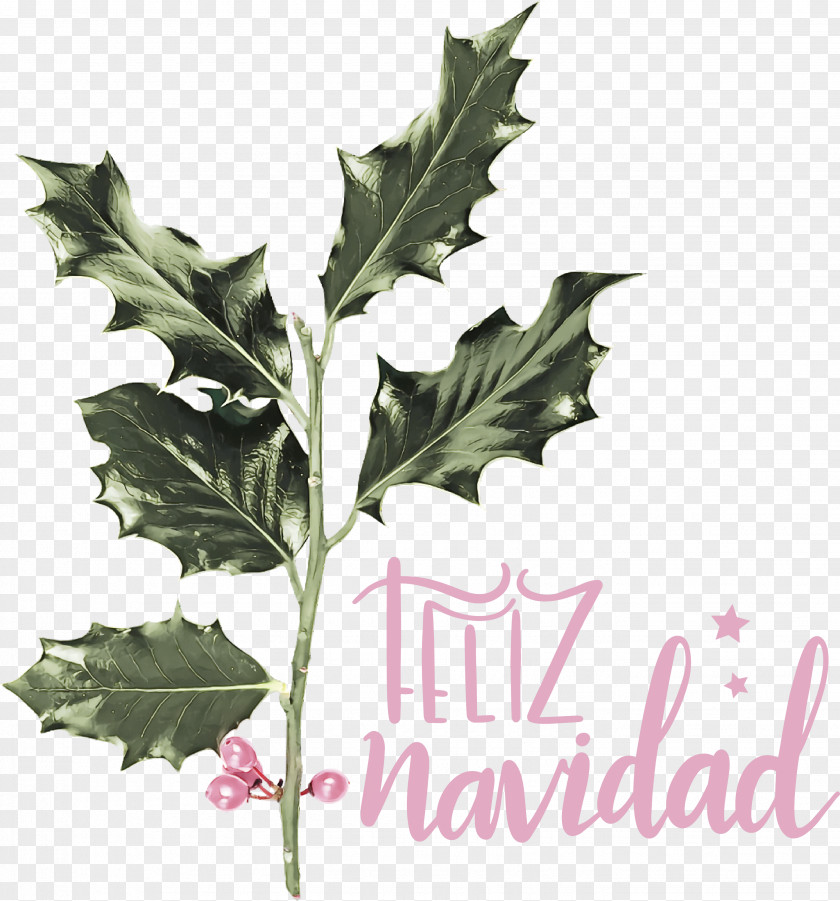 Feliz Navidad Merry Christmas PNG