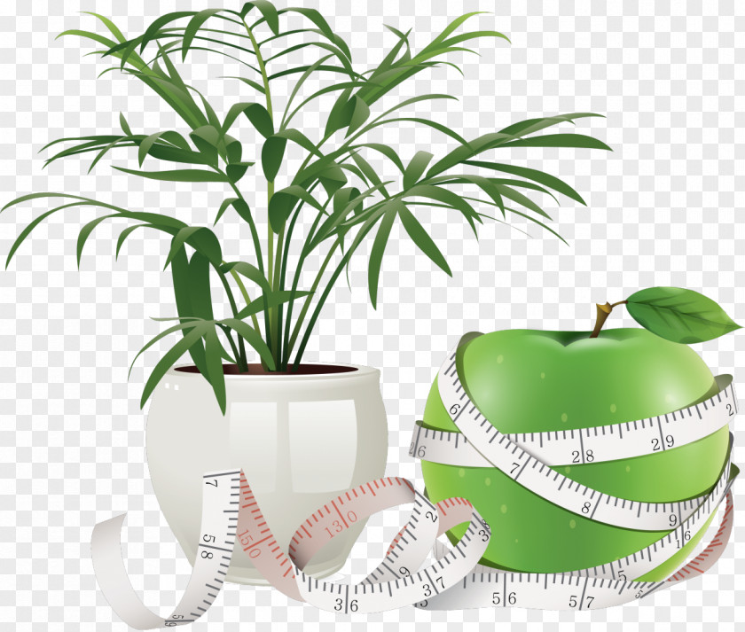 Plants Flowerpot Health Care Woman PNG