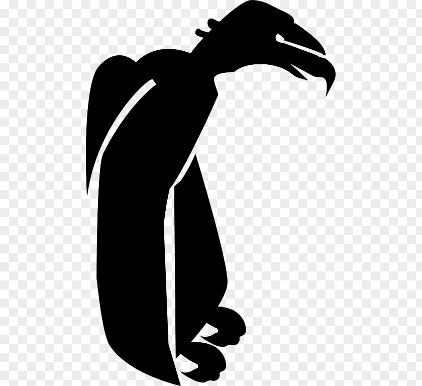 Turkey Vulture Clip Art PNG