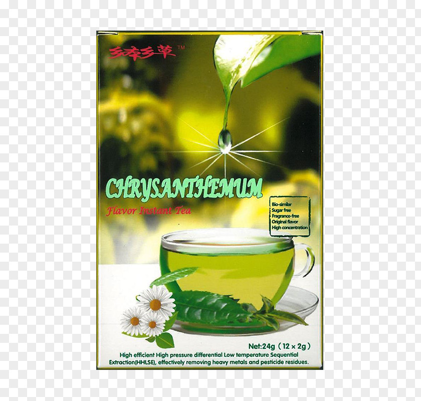 Chrysanthemum Tea Green Herbalism Flavor PNG