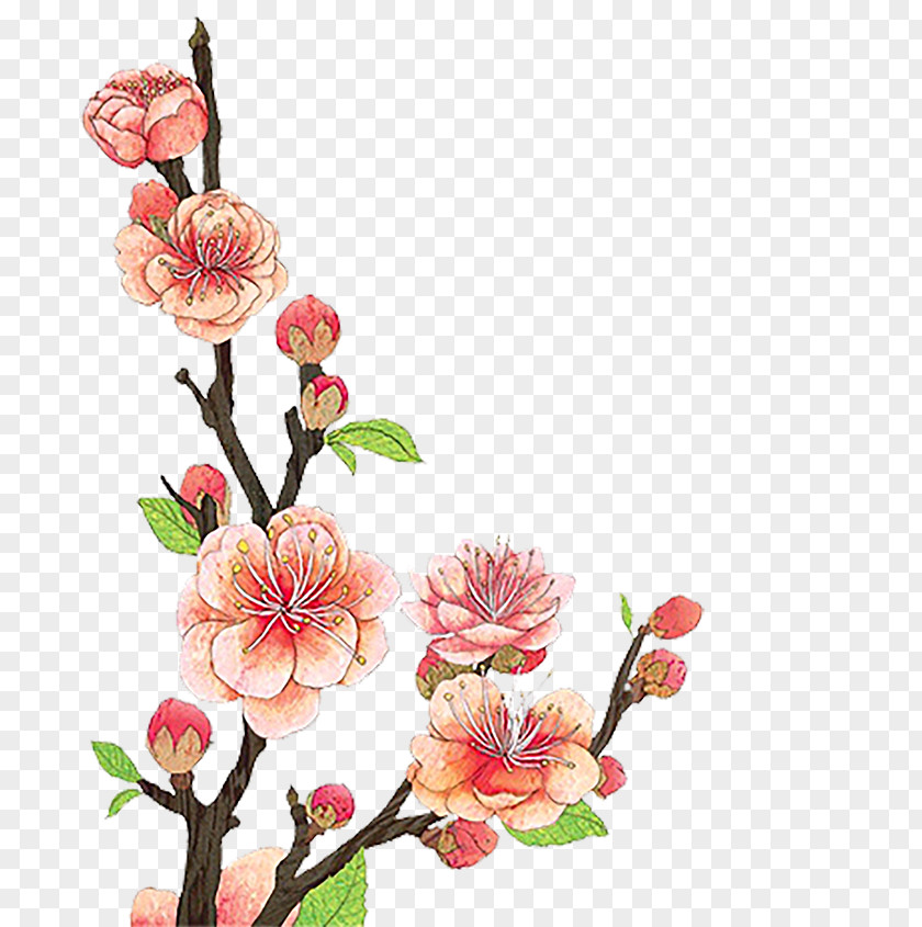 Hand Painted A Bunch Of Cherry Blossoms Graphic Design Plum Blossom Clip Art PNG