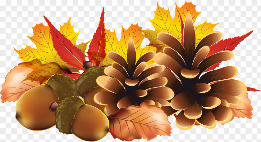Harvest Pinecone PNG
