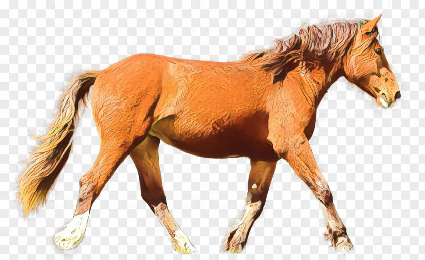 Liver Mustang Horse Sorrel Animal Figure Mare Stallion PNG