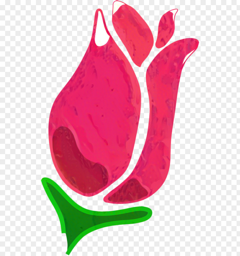 Magenta Plant Fruit Cartoon PNG