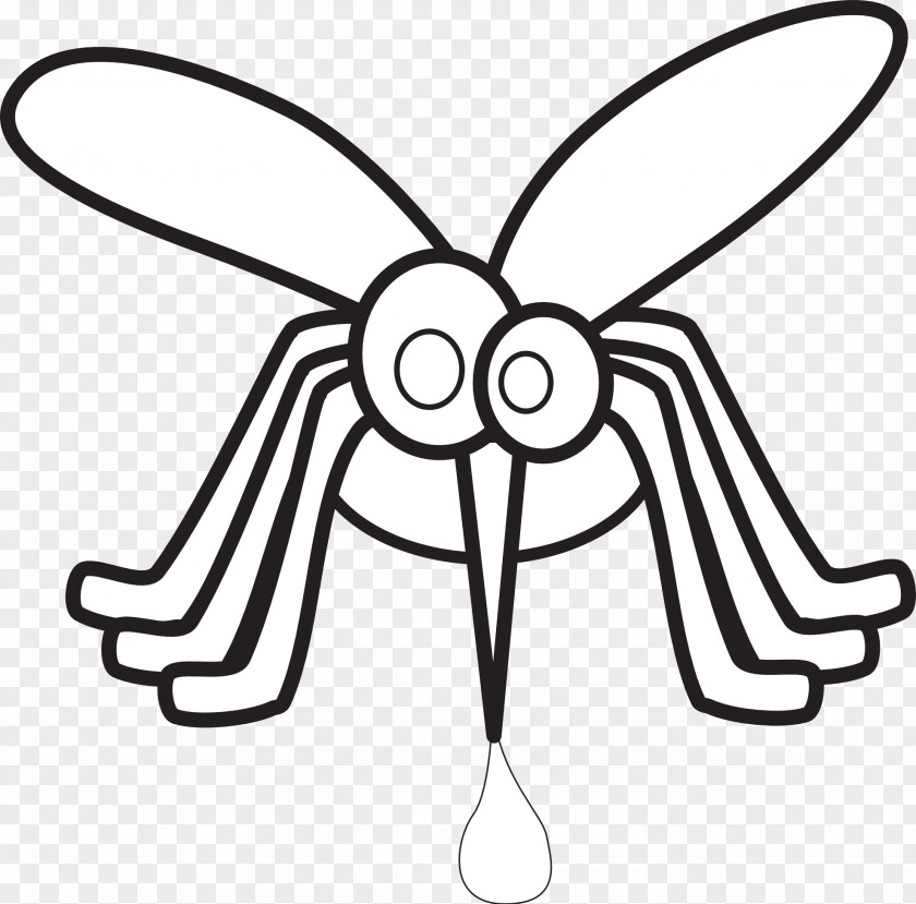 Mosquito Clip Art PNG