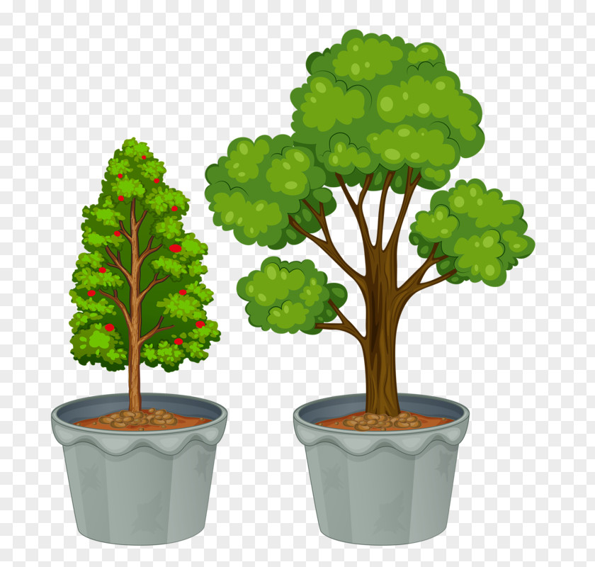 Tree Drawing Clip Art PNG