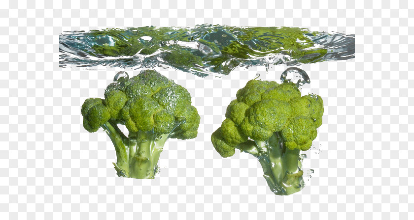 Broccoli Into The Water Cauliflower Food Cabbage Vegetable PNG