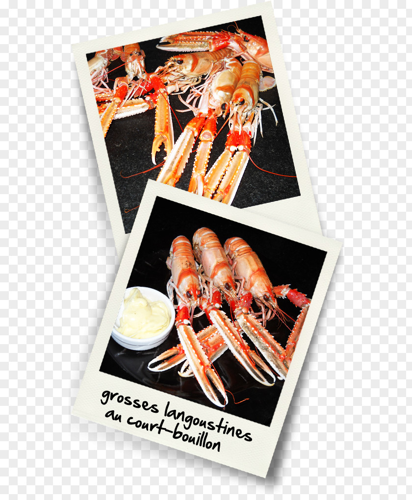 Crustace Seafood Recipe Dish Cuisine PNG