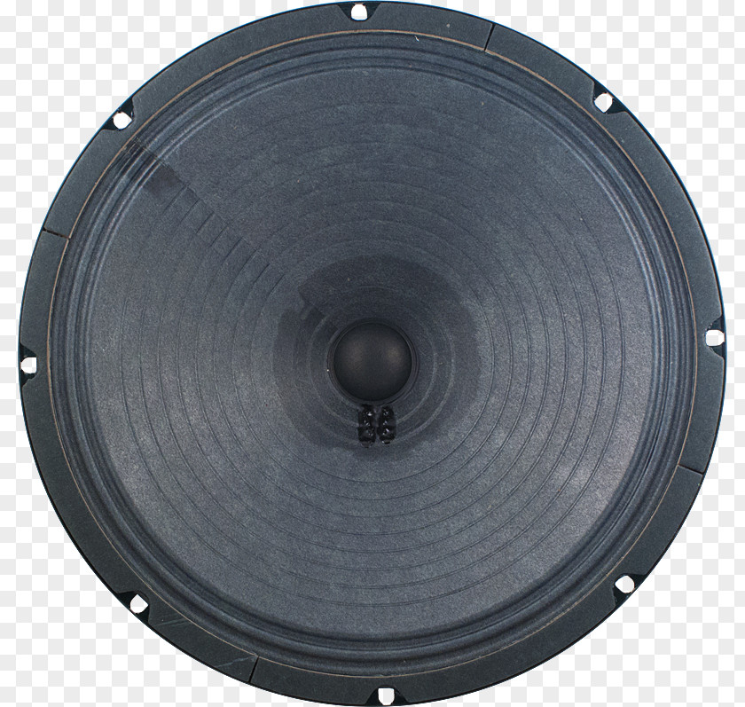 Field Coil Loudspeaker Alnico Voice Ohm Guitar Speaker PNG