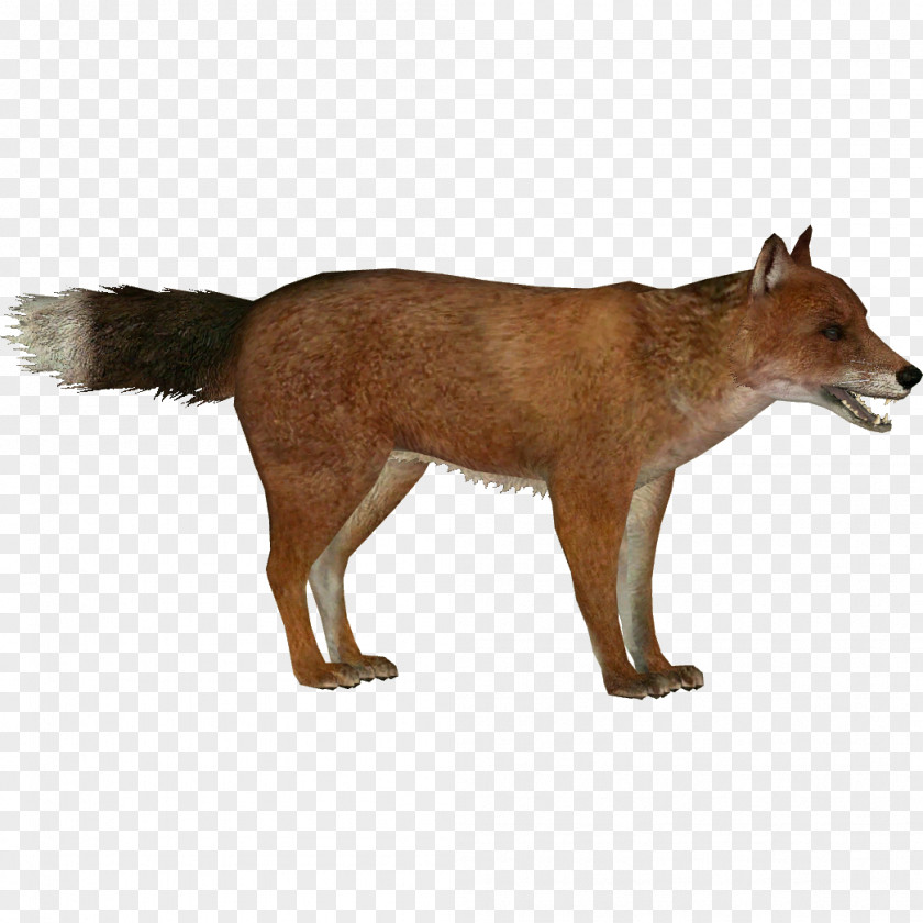 Fox Red Zoo Tycoon 2: Extinct Animals Falkland Islands Wolf Dhole Extinction PNG