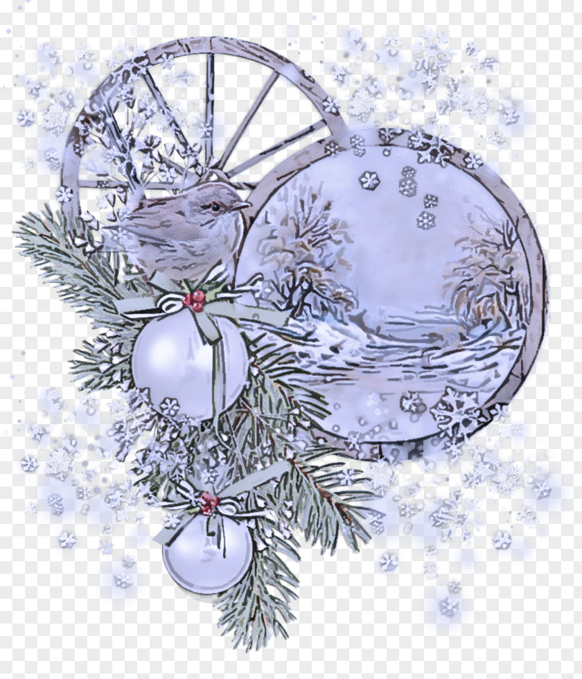 Pine Family Plant Christmas Ornament PNG