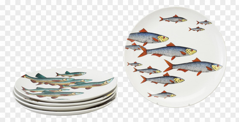 Plate Fish Coalport Porcelain Pottery PNG