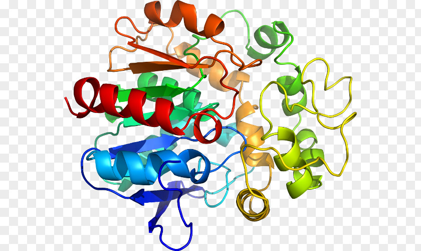 SPINK1 Trypsin Homology Modeling Protein Pancreas PNG