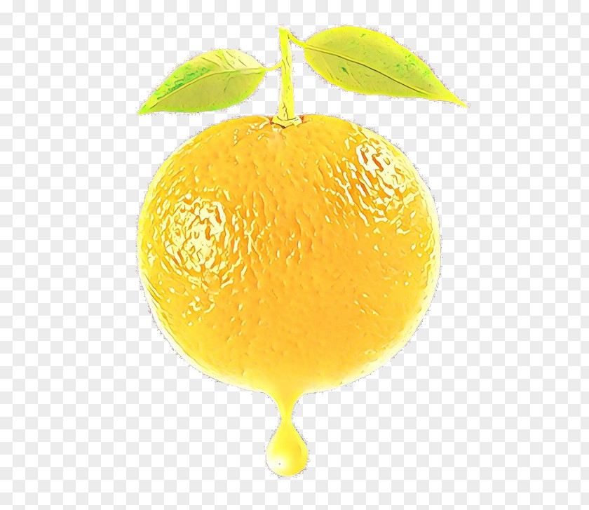 Yuzu Plant Citrus Lemon Fruit Citron Meyer PNG