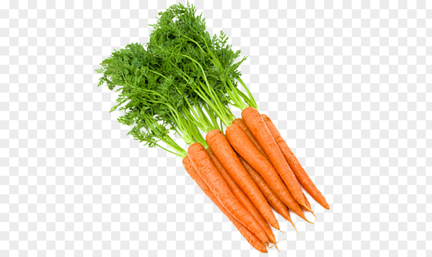 Carrots Fruit Food Vegetable Carrot PNG