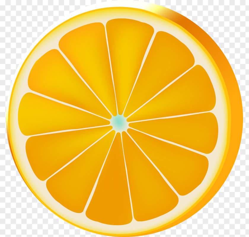 Hand Painted Orange Lemon Circle PNG