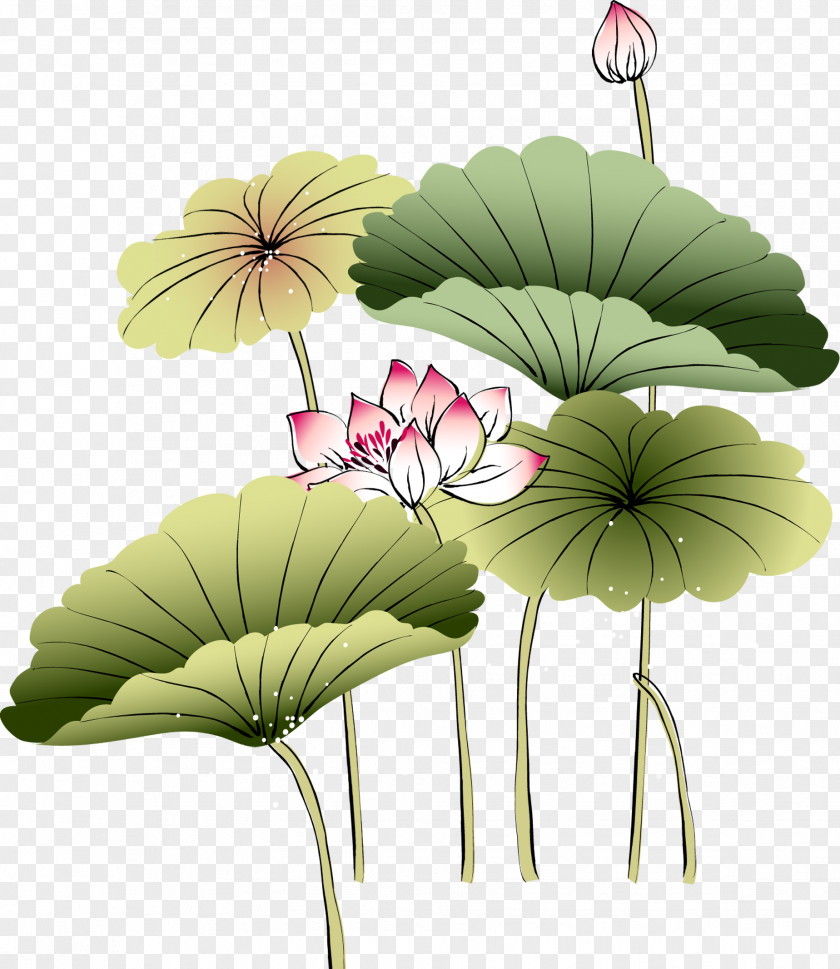 Lotus,Chinese Style IPad 3 Painting Wallpaper PNG