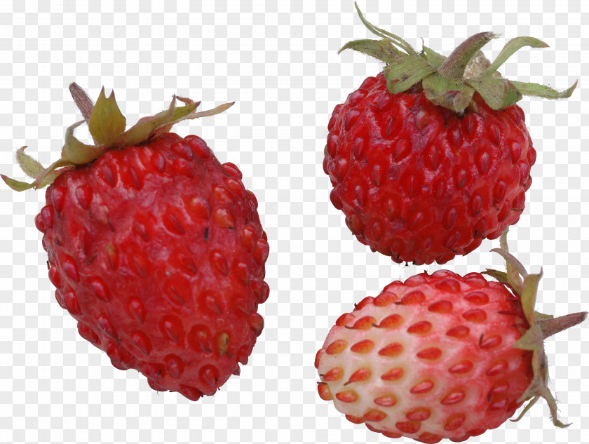 Strawberry Raspberry Accessory Fruit Loganberry PNG