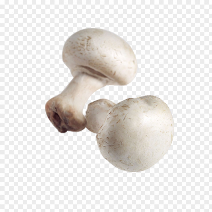 White Mushrooms Common Mushroom Pleurotus Eryngii Agaricus Campestris Shiitake PNG